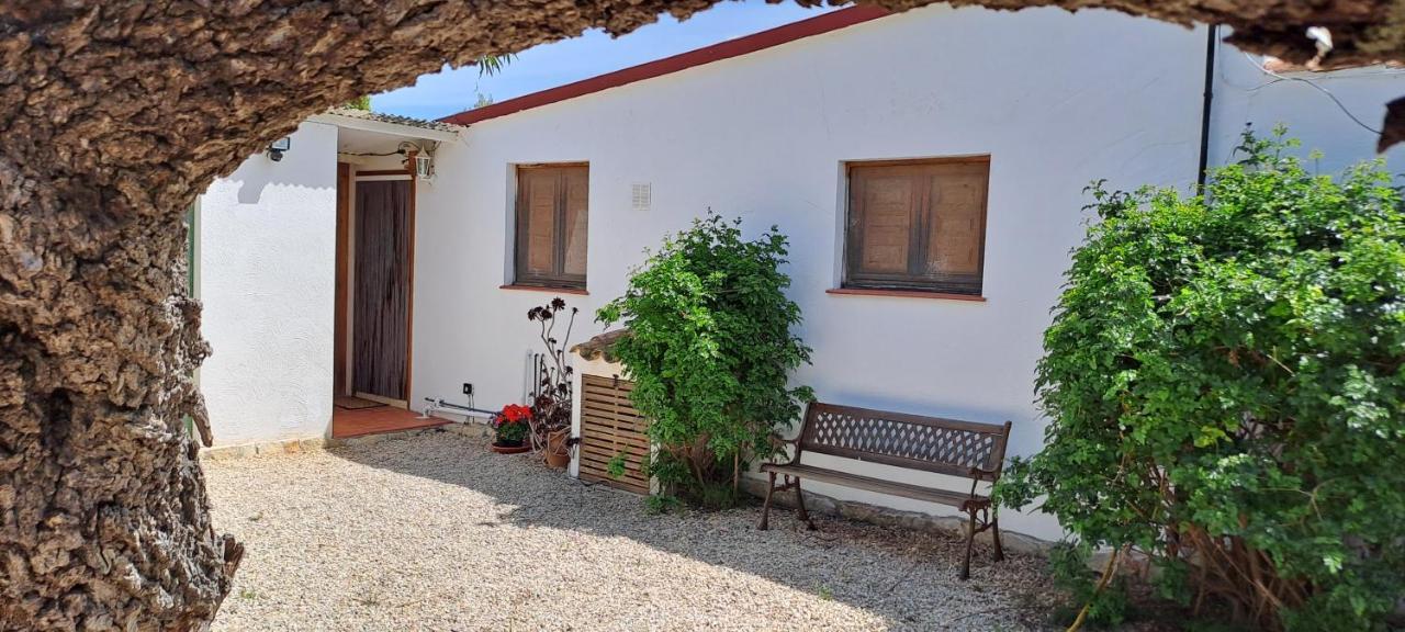Finca Gamundi إليامبويا المظهر الخارجي الصورة