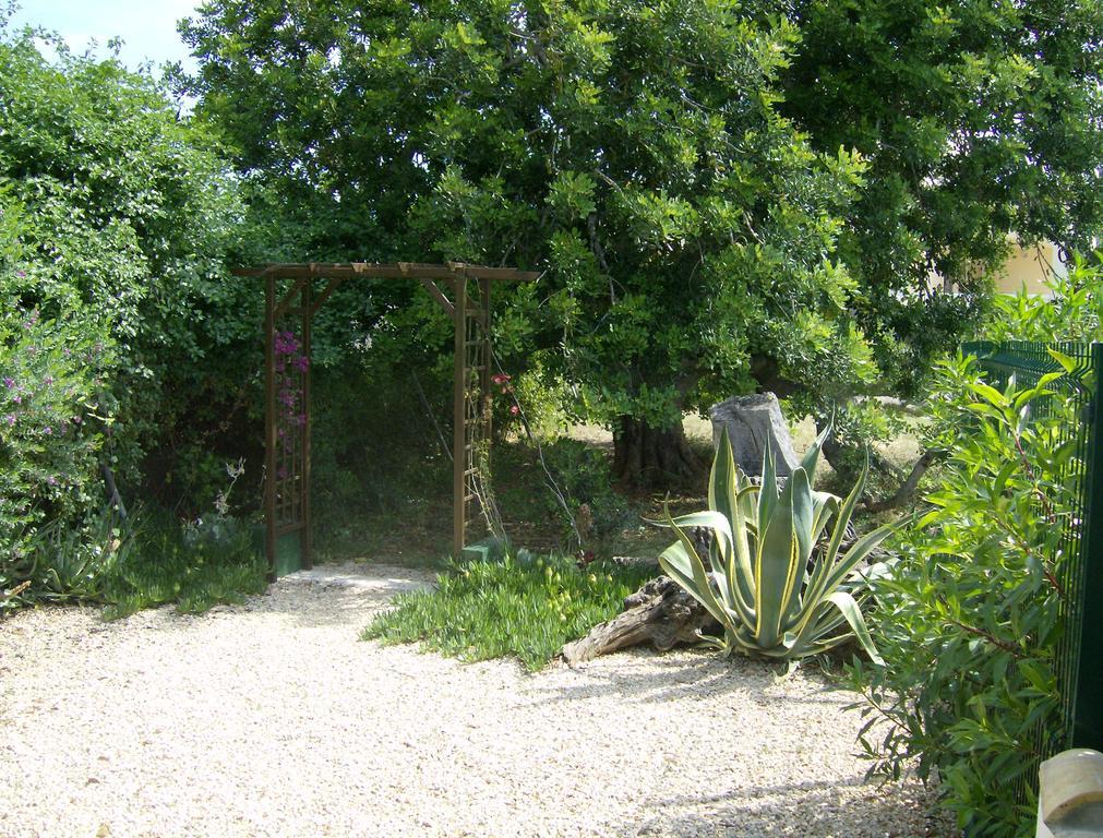 Finca Gamundi إليامبويا المظهر الخارجي الصورة